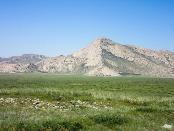Green field in the Gobi desert