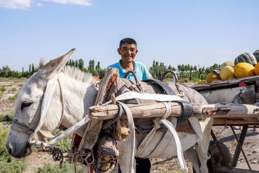 Het aralmeer in Oezbekistan