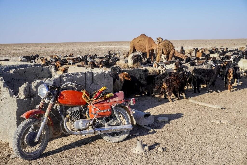 Het aralmeer in Oezbekistan
